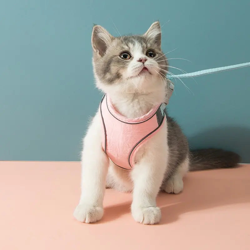 Purrfect Adventure Cat Harness & Leash Set🐱